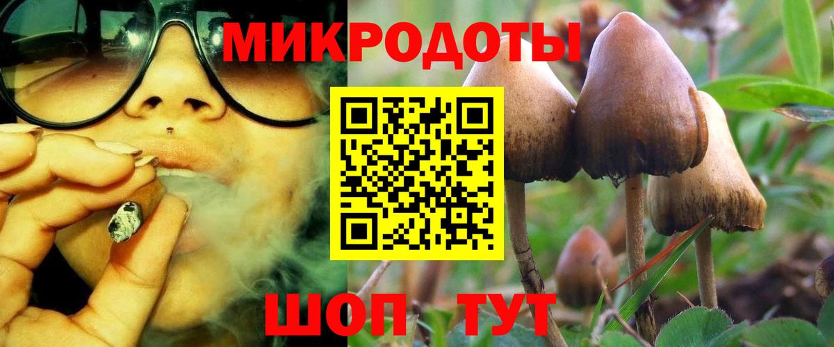 Челябинск  Псилоцибиновые грибы Cubensis  Вход с VPN 