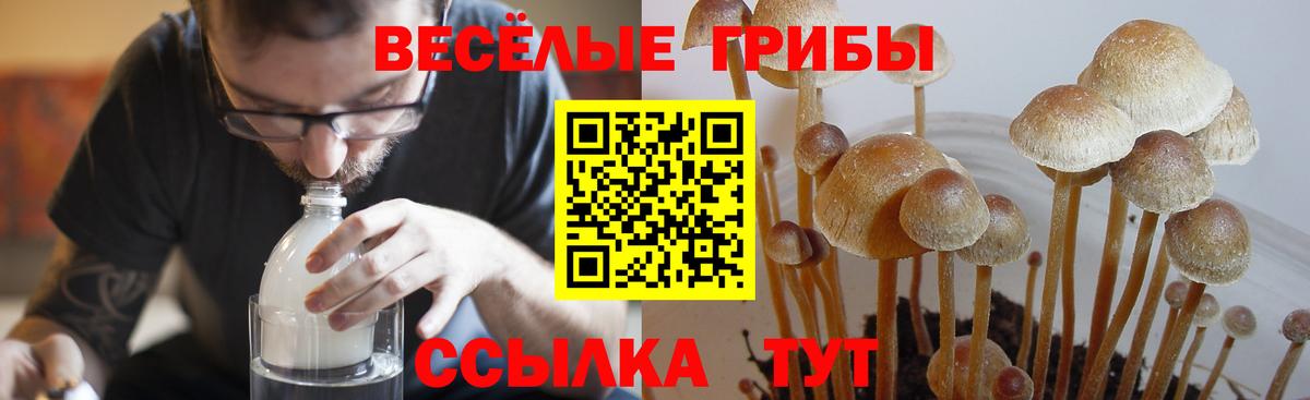 Псилоцибиновые грибы GOLDEN TEACHER Челябинск